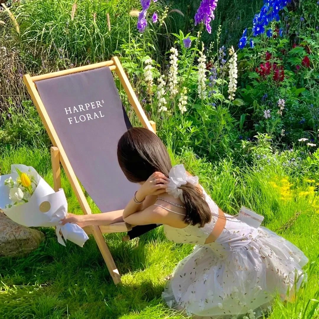 热血长安第一季